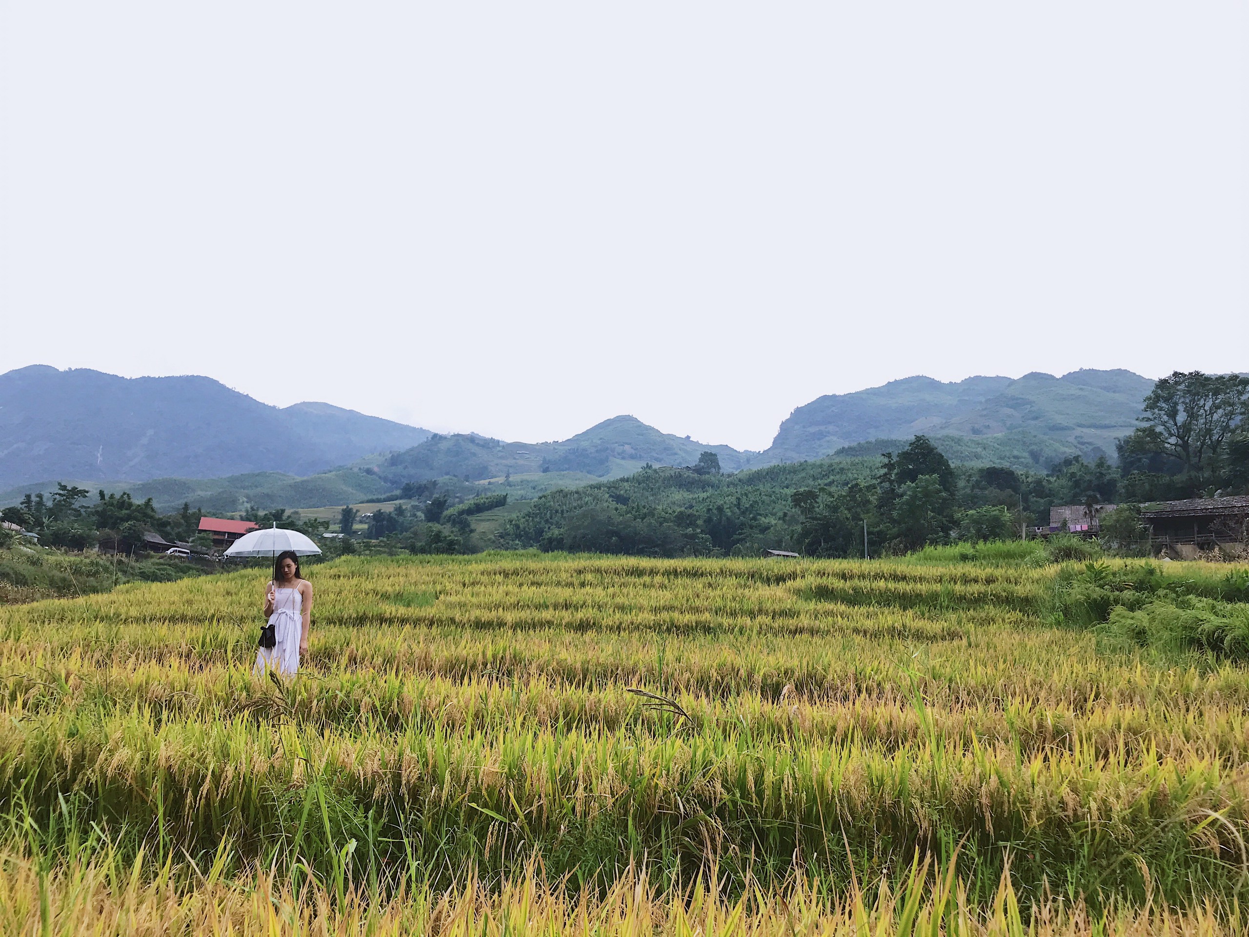 Ngoài trời