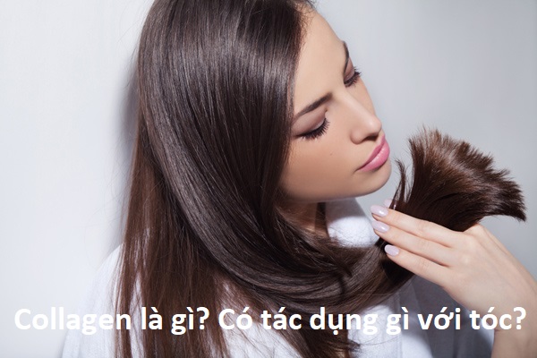 Collagen là gì?