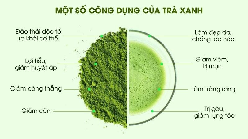 Công dụng của bột trà xanh là gì?