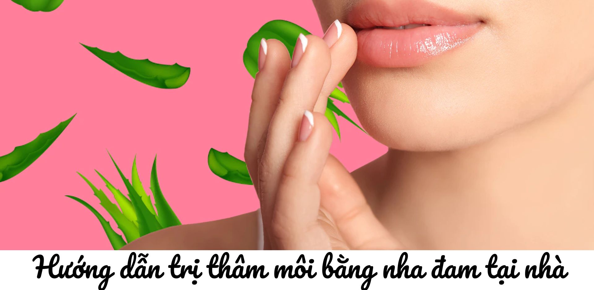 Hướng dẫn trị thâm môi bằng nha đam tại nhà