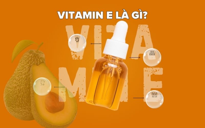 Vitamin E là gì?