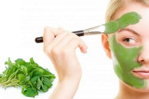 Cách đắp rau diếp cá hiệu quả