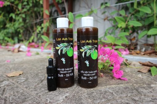 Review dầu gội cho da đầu nhờn