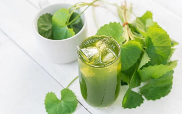 Rau má được cho là có khả năng trị mụn