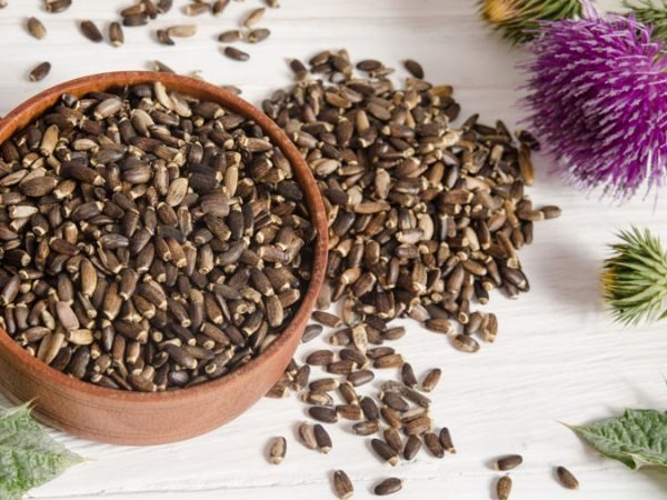 Lợi ích của thuốc mát gan