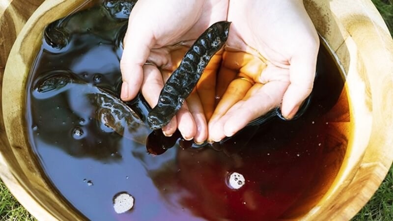 Lợi ích khi gội đầu bằng bồ kết