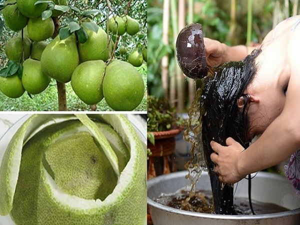 Dùng vỏ bưởi gội đầu tại nhà