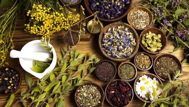 Các loại thảo mộc được sử dụng