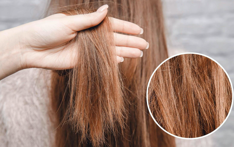 Có nên đi phục hồi tóc không khi tóc bị khô xơ nhẹ?