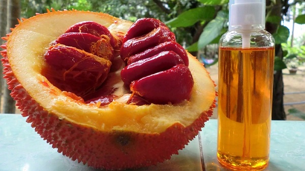 Dầu gấc tự làm tại nhà