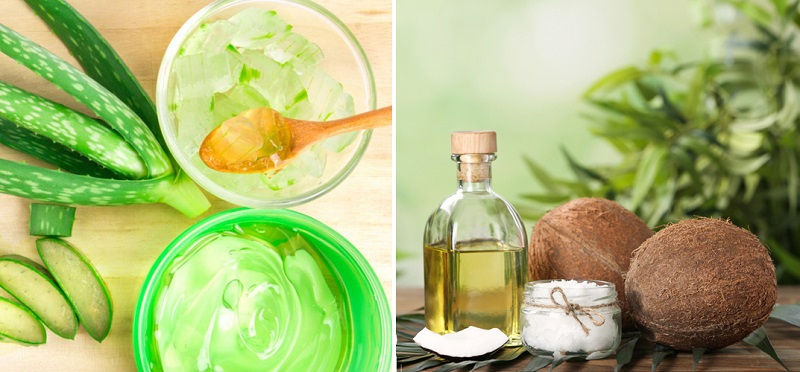 Kết hợp dầu dừa và nha đam cho vùng da nhạy cảm