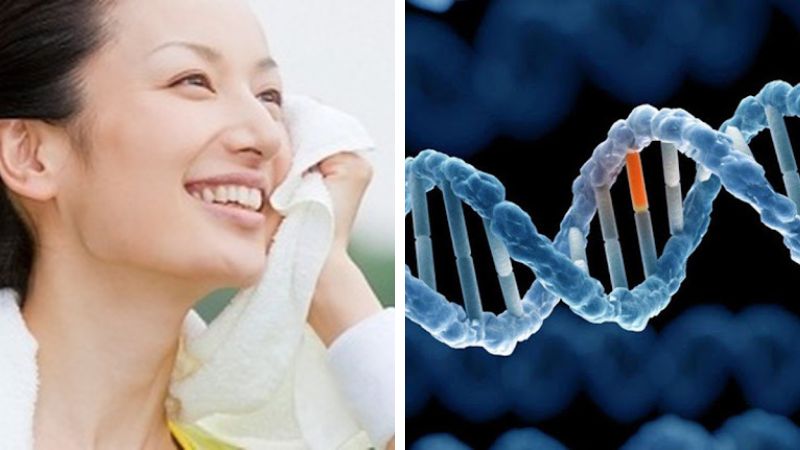 Yếu tố di truyền là nguyên nhân hàng đầu