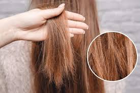 Tóc cháy nắng là gì